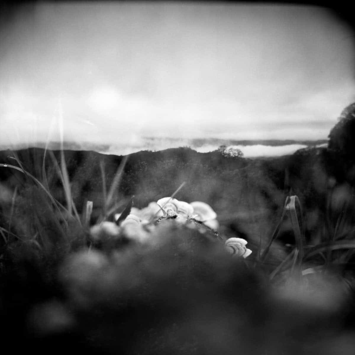 Where You Are Photo Series by J M Golding on Shoot It With Film