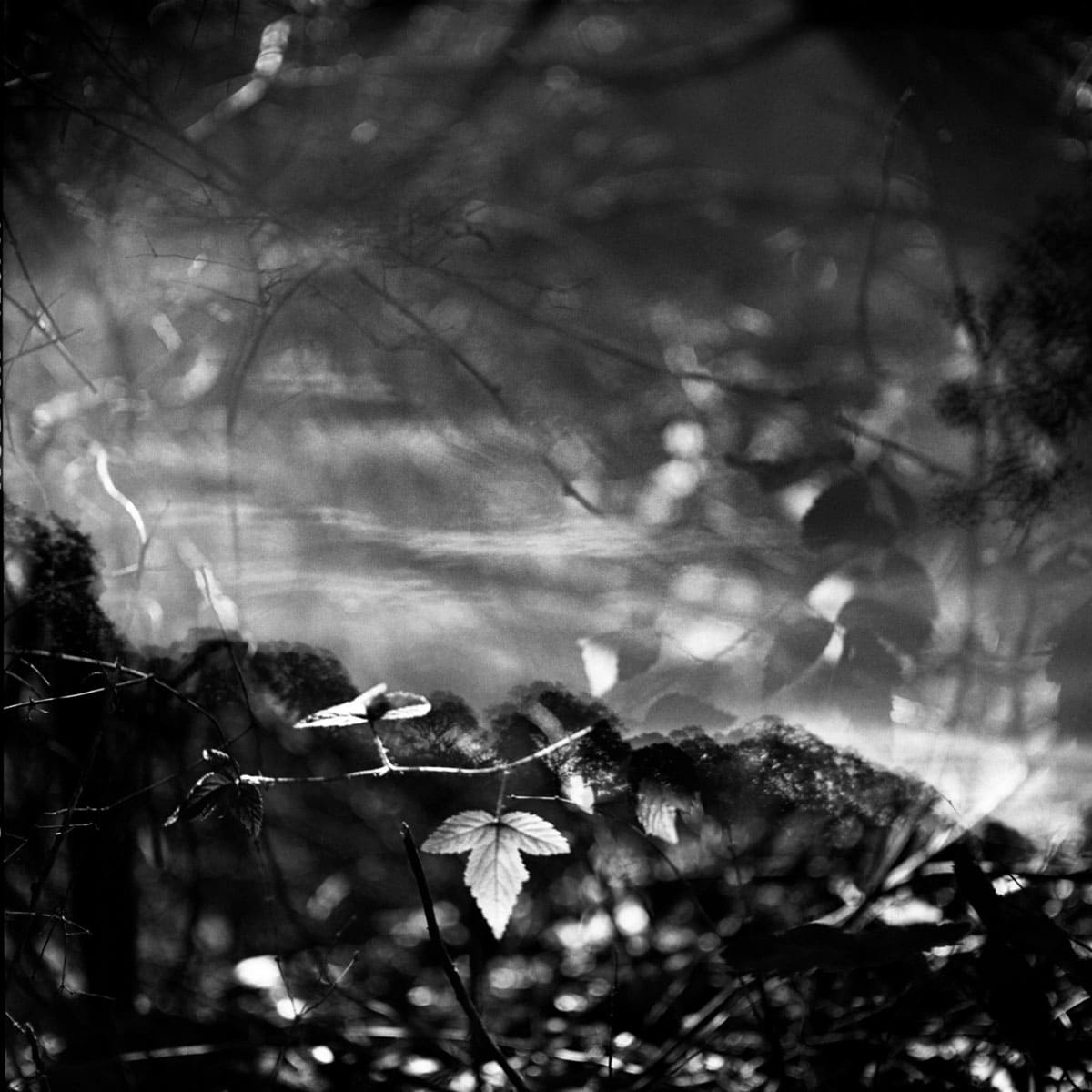 Where You Are Photo Series by J M Golding on Shoot It With Film