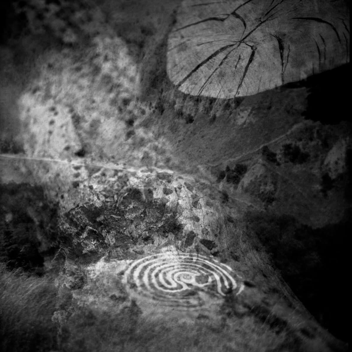 Where You Are Photo Series by J M Golding on Shoot It With Film