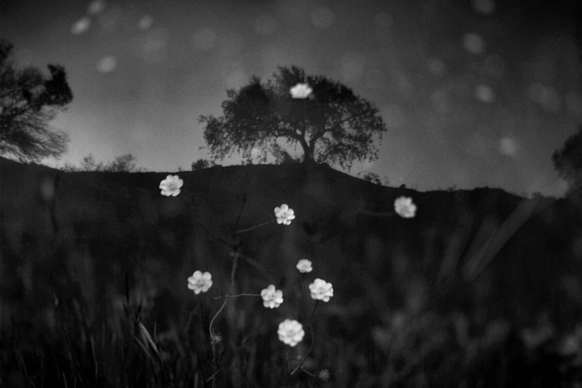 Where You Are Photo Series by J M Golding on Shoot It With Film