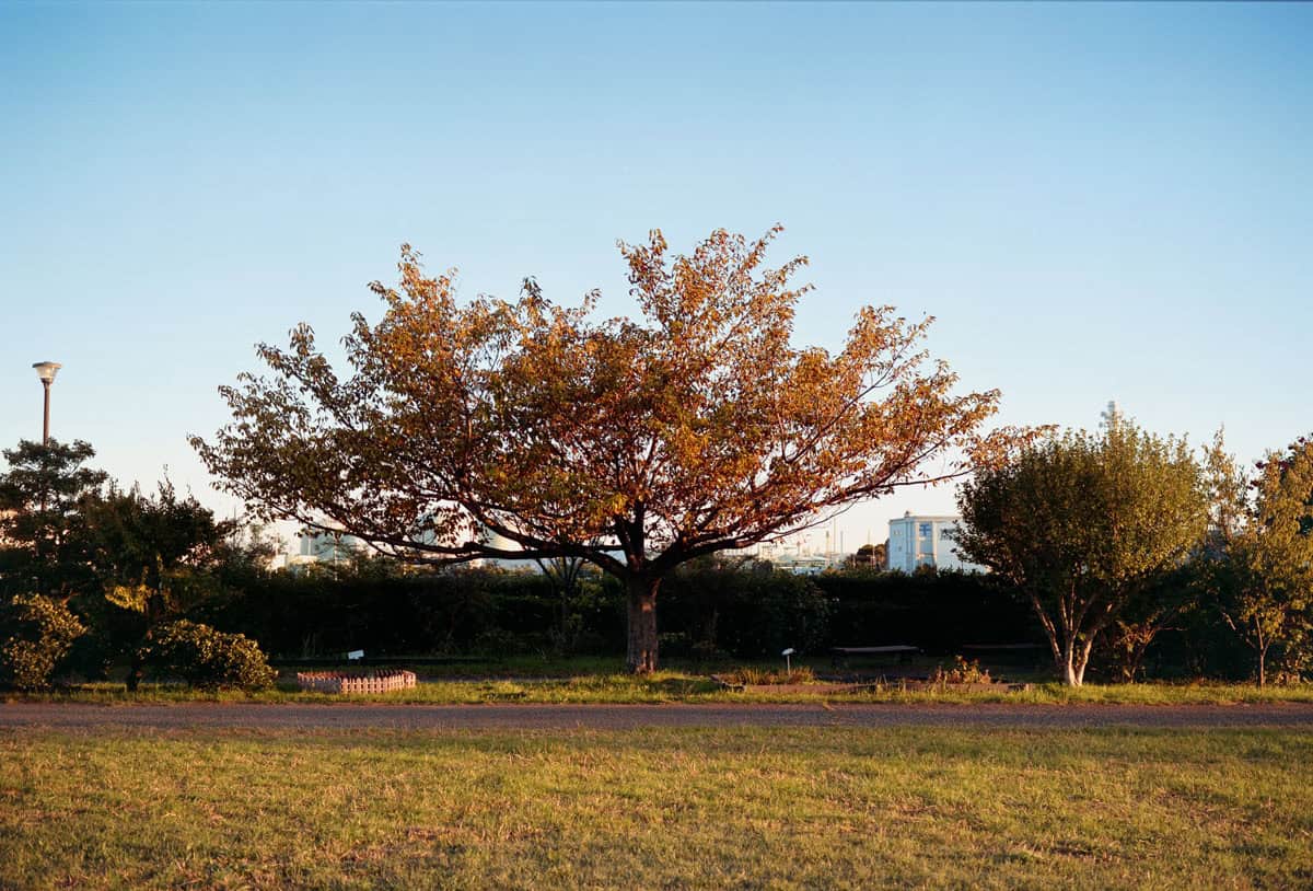 Lucky 200 Film Review by Raufan Yusup on Shoot It With Film