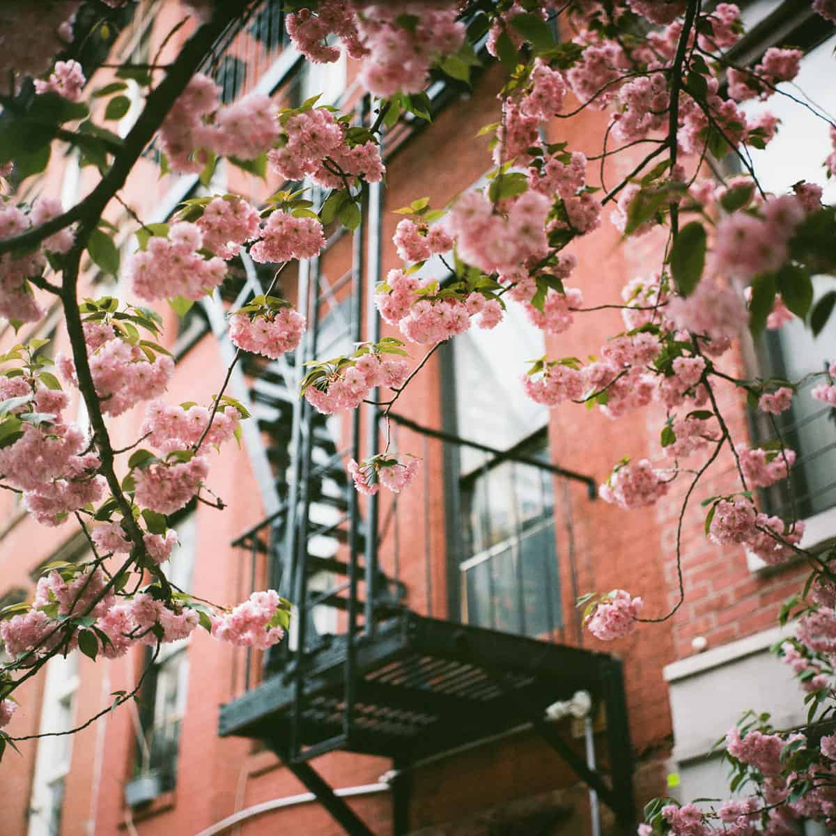 Portraits in NYC on Medium Format Film by Mathew Zucker on Shoot It With Film 