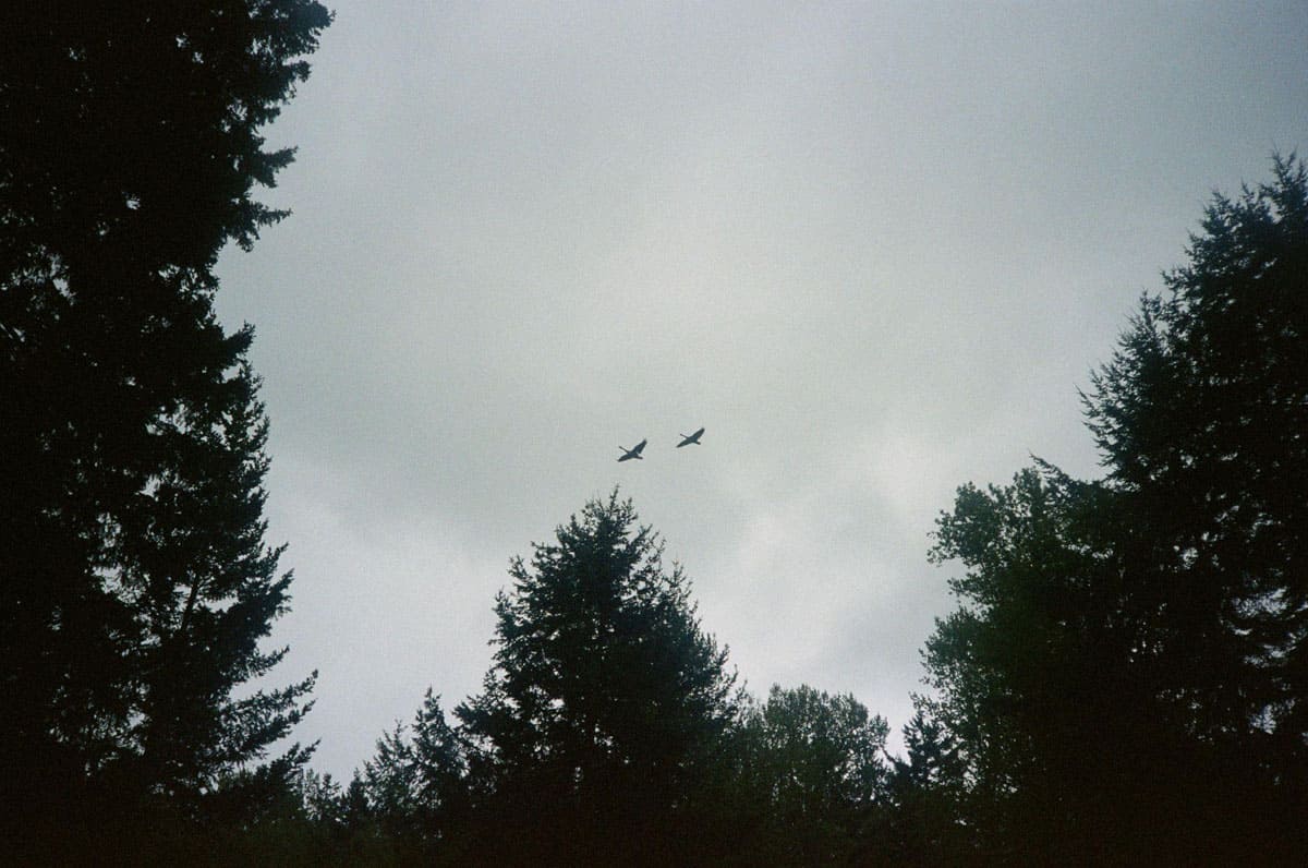 Canon Sure Shot WP-1 35mm Weatherproof Film Camera Review by Katya Rowny on Shoot It With Film