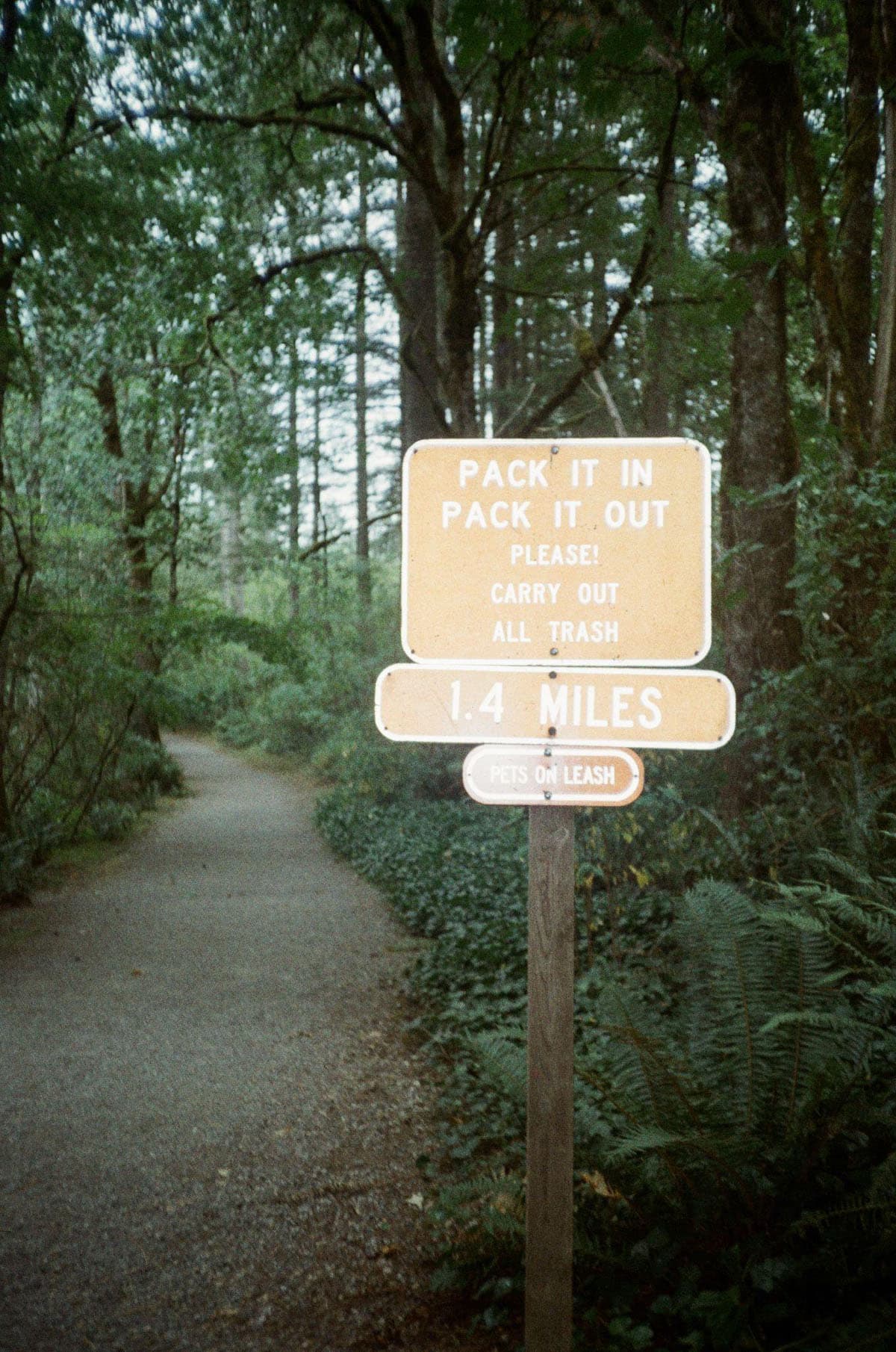 Canon Sure Shot WP-1 35mm Weatherproof Film Camera Review by Katya Rowny on Shoot It With Film