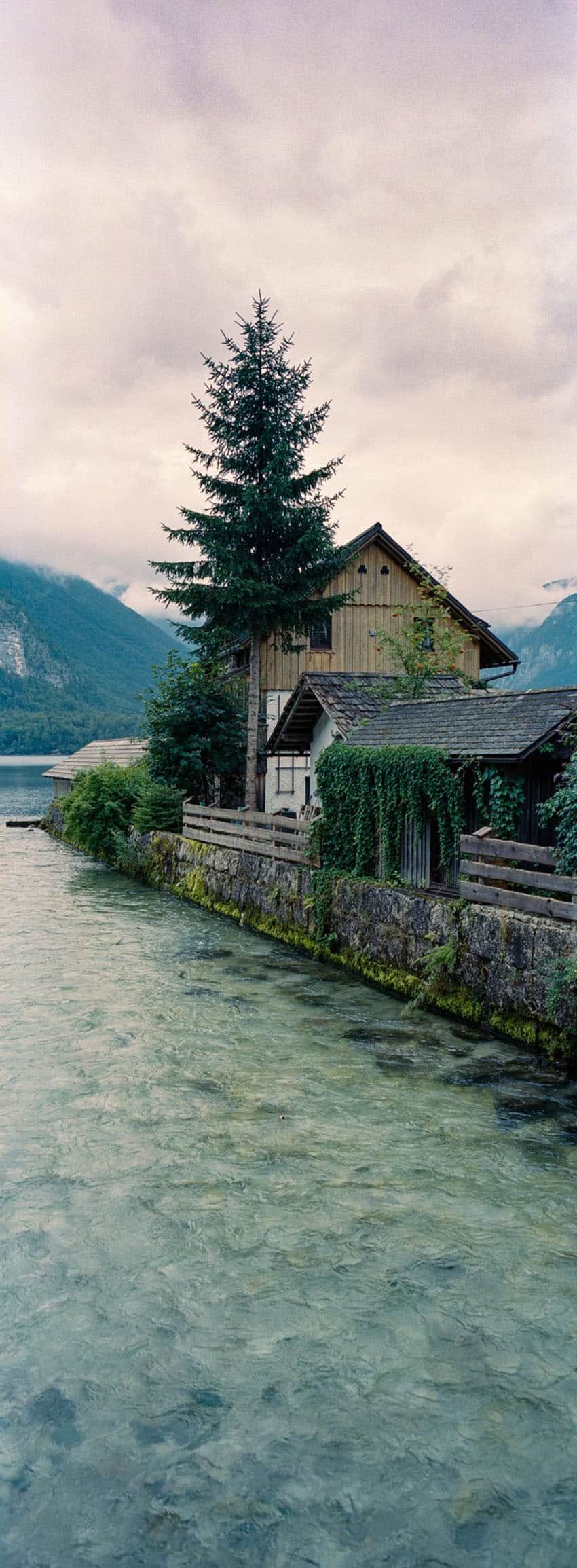 Kodak Portra 400 Film Review by Mike Amos on Shoot It With Film