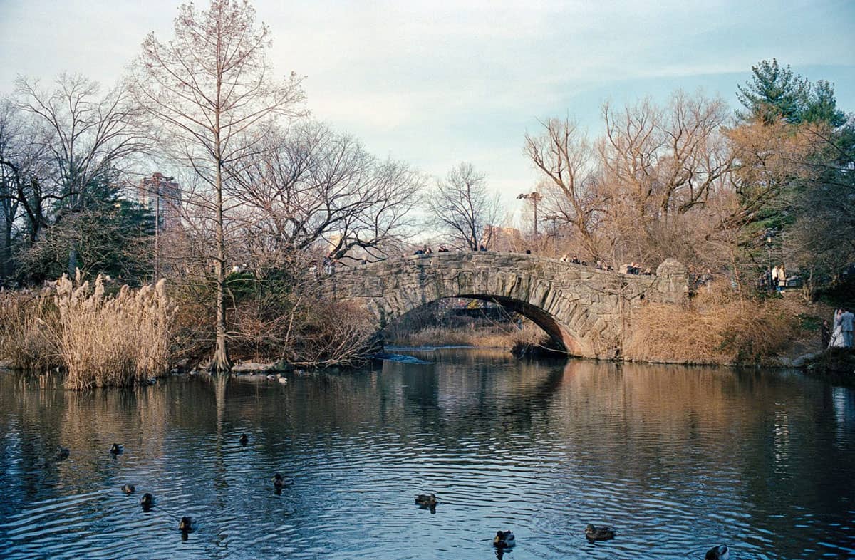 Kodak Portra 400 Film Review by Mike Amos on Shoot It With Film