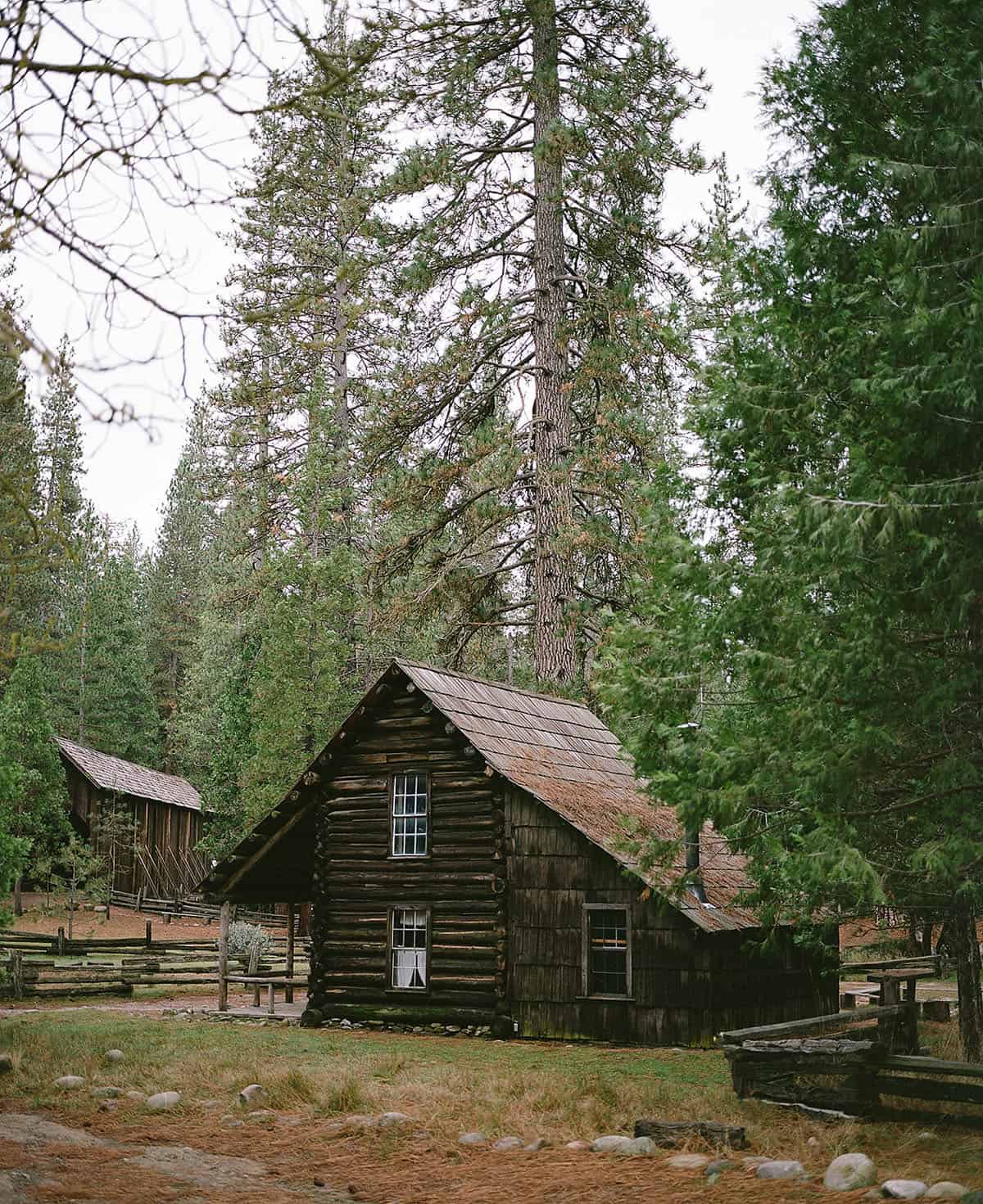 Mamiya 7II Review: Mamiya 7II vs Pentax 67II Medium Format Film Camera by Radostina Boseva on Shoot It With Film