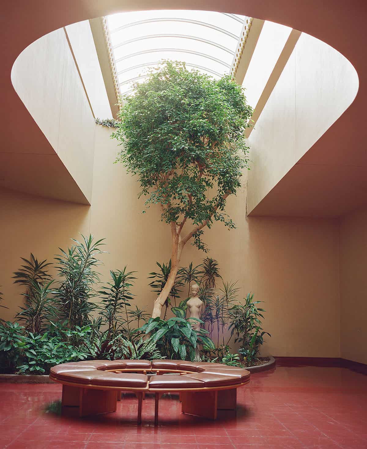 Mamiya 7II Review: Mamiya 7II vs Pentax 67II Medium Format Film Camera by Radostina Boseva on Shoot It With Film