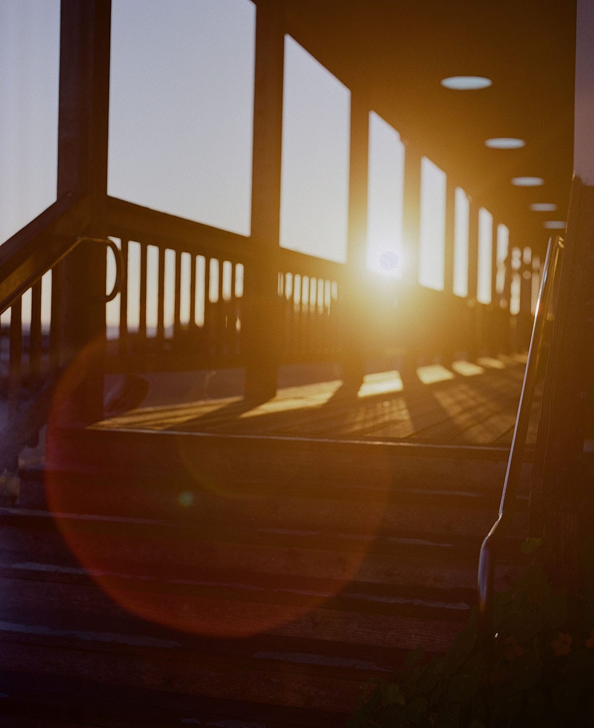 Mamiya 7II Review: Mamiya 7II vs Pentax 67II Medium Format Film Camera by Radostina Boseva on Shoot It With Film