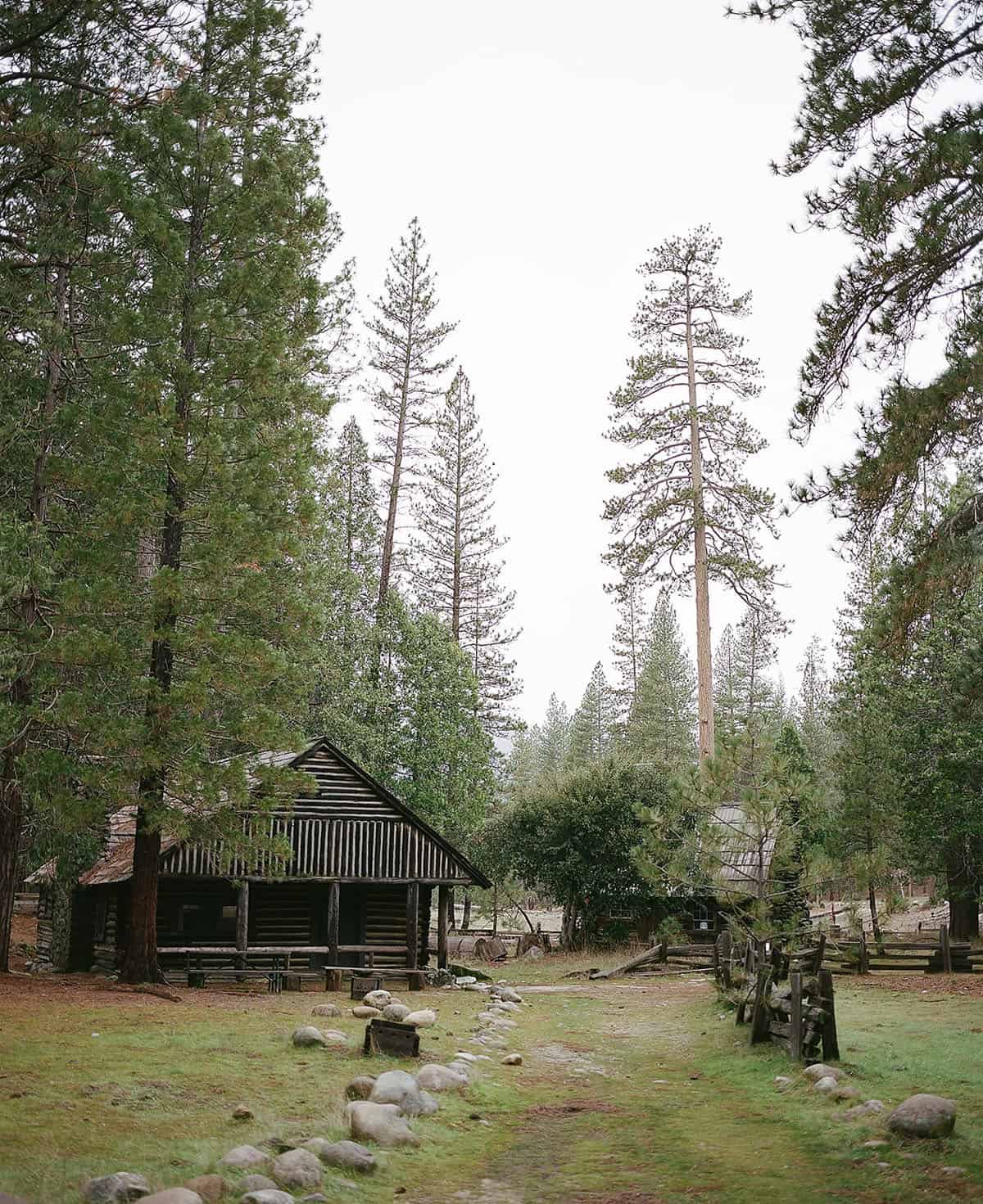 Mamiya 7II Review: Mamiya 7II vs Pentax 67II Medium Format Film Camera by Radostina Boseva on Shoot It With Film