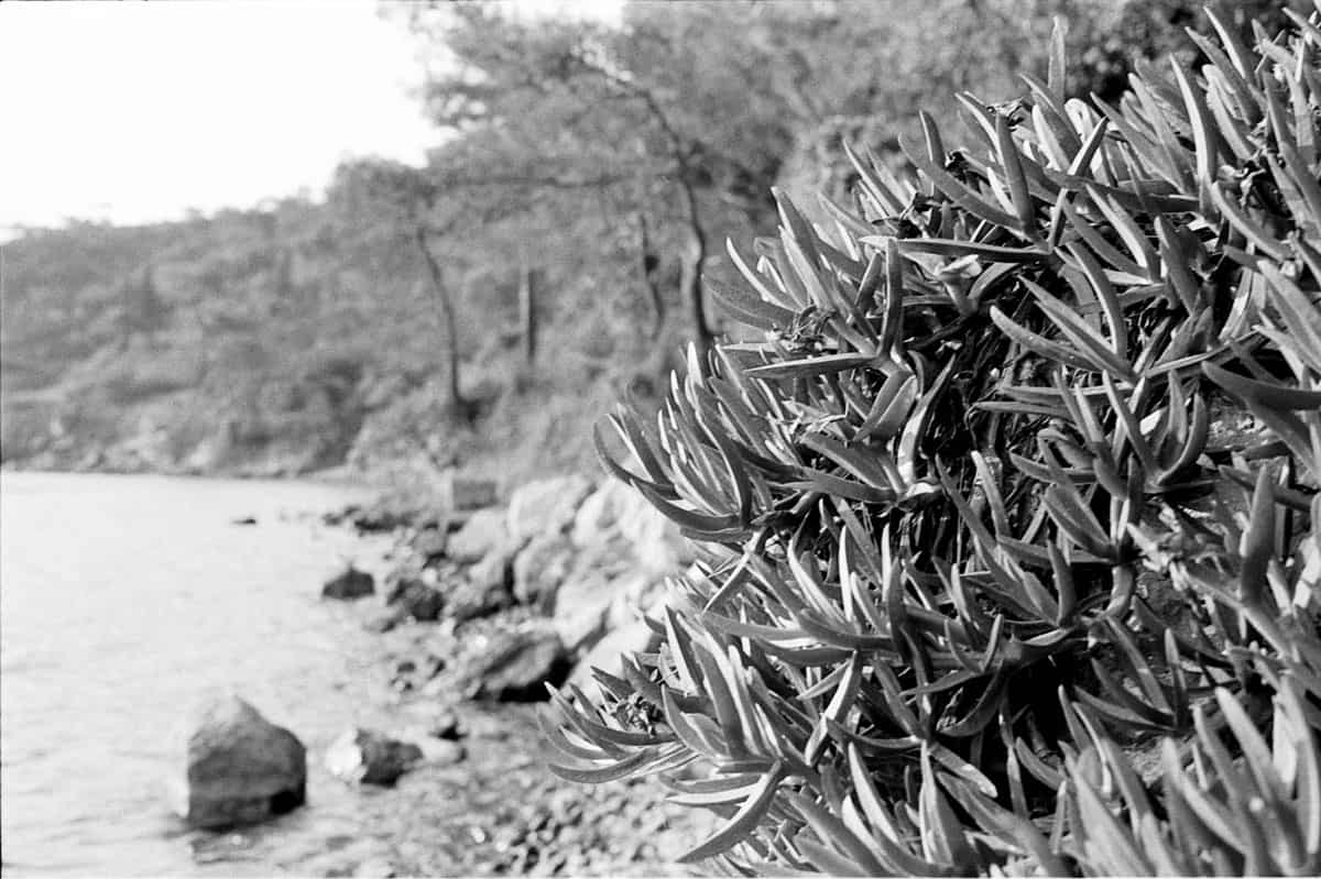 Turkey Travel Story on BW 35mm Film by Enes Ozbayoglu on Shoot It With Film