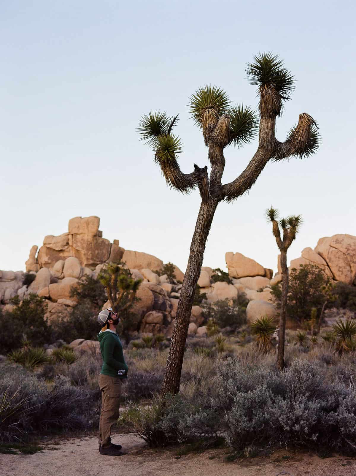 Budget Color Film Under $10 by Taylor Blanchard on Shoot It With Film