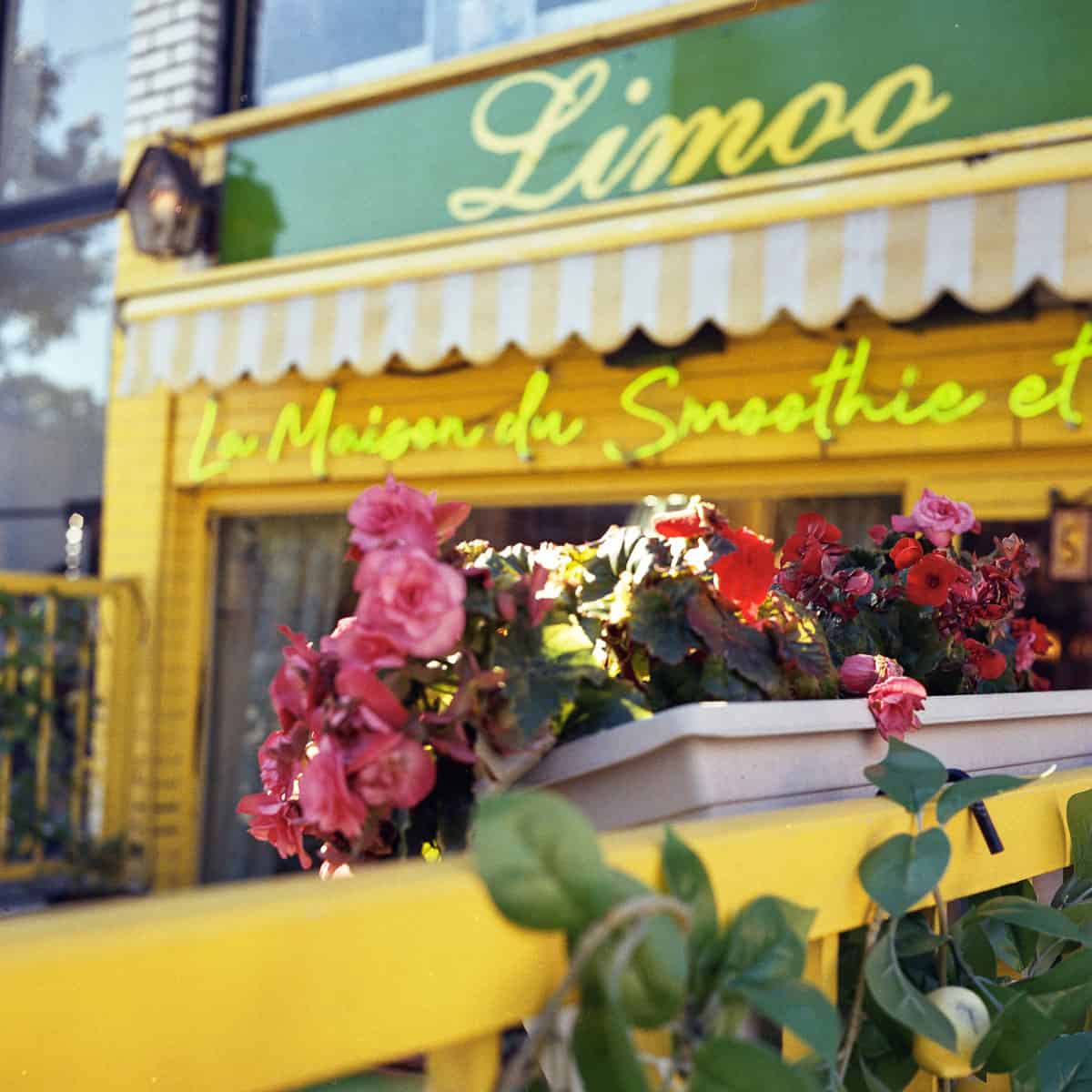 Budget Color Film Under $10 by Taylor Blanchard on Shoot It With Film