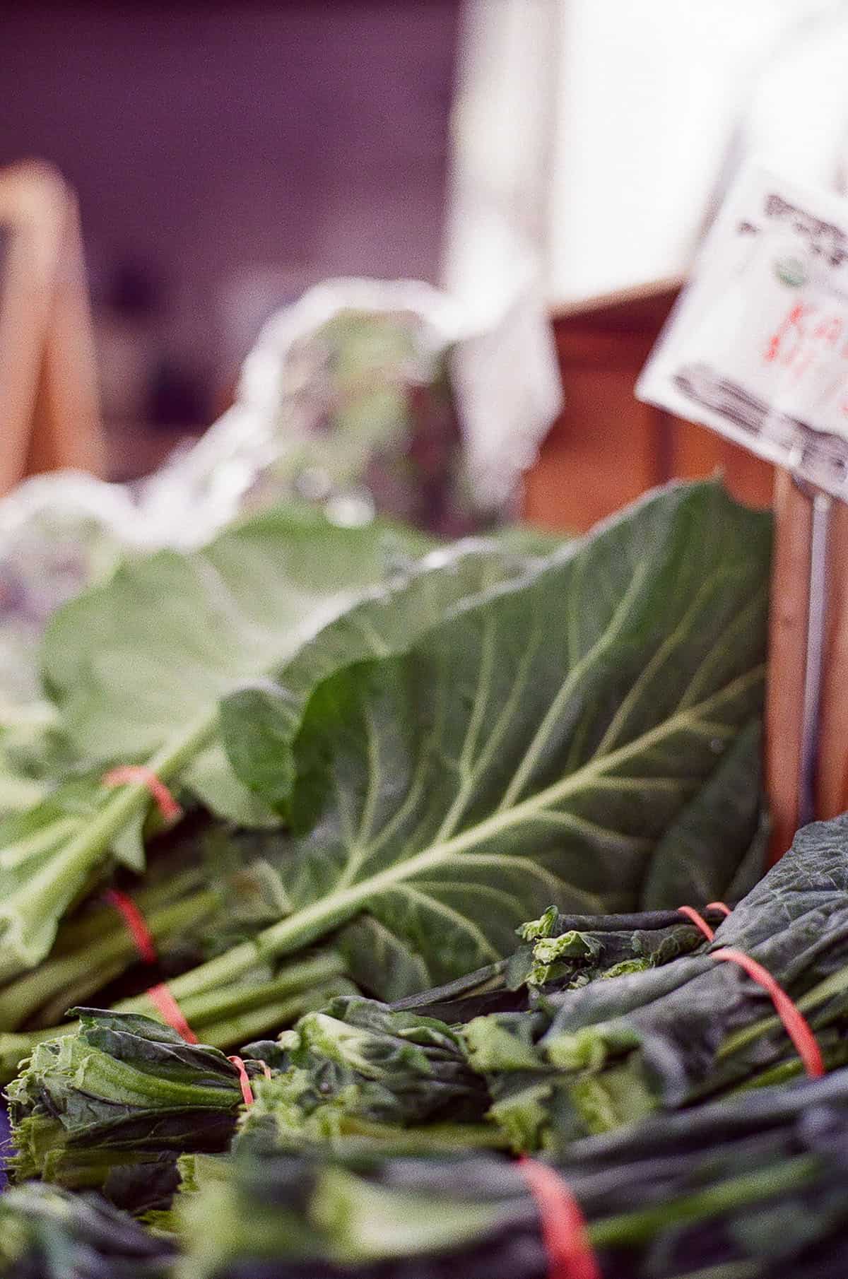 Budget Color Film Under $10 by Taylor Blanchard on Shoot It With Film