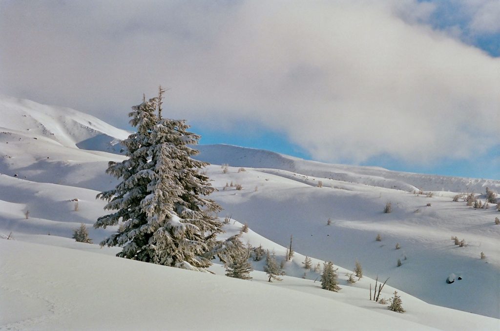 Mount Hood Travel Story on 35mm Film by Curtis Heikkinen