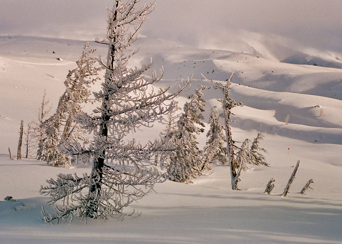 Mount Hood Travel Story on 35mm Film by Curtis Heikkinen