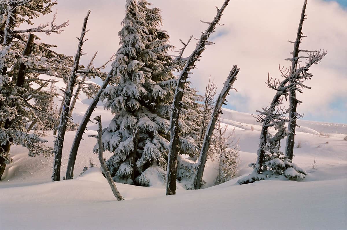 Mount Hood Travel Story on 35mm Film by Curtis Heikkinen