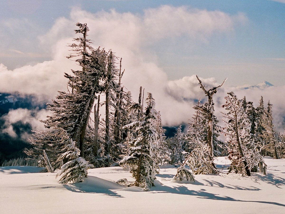 Mount Hood Travel Story on 35mm Film by Curtis Heikkinen