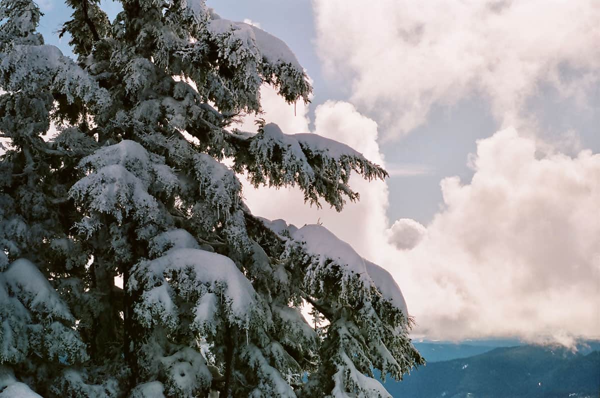 Mount Hood Travel Story on 35mm Film by Curtis Heikkinen