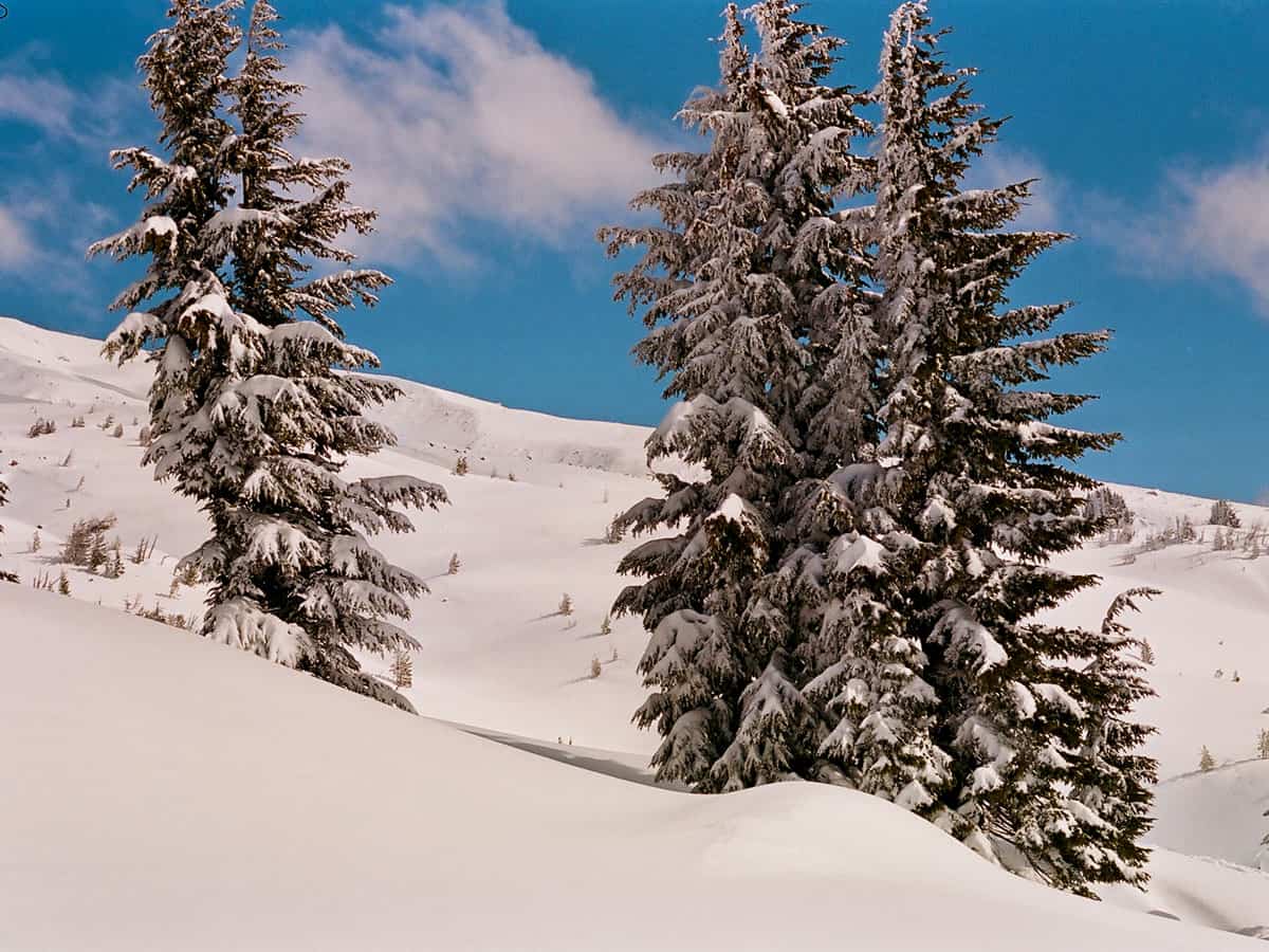 Mount Hood Travel Story on 35mm Film by Curtis Heikkinen