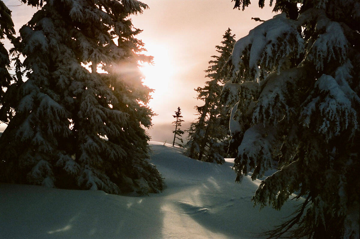 Mount Hood Travel Story on 35mm Film by Curtis Heikkinen