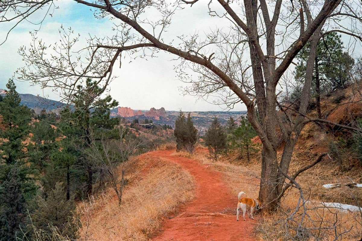 How to Repair Your Own Film Camera by Tyler Mattas on Shoot It With Film