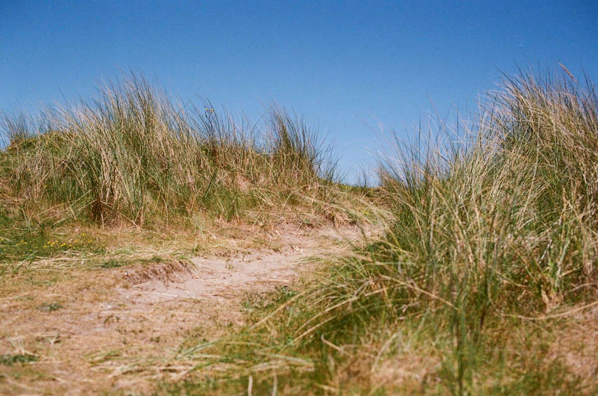 Spring Light in Ireland on 35mm Film by Enes Ozbayoglu on Shoot It With Film