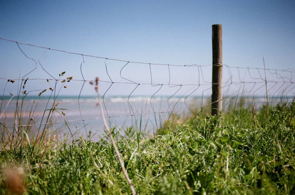 Spring Light in Ireland on 35mm Film by Enes Ozbayoglu on Shoot It With Film
