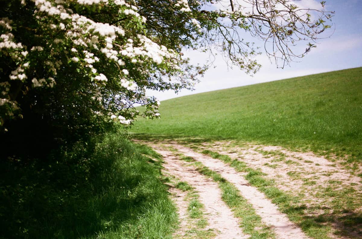 Spring Light in Ireland on 35mm Film by Enes Ozbayoglu on Shoot It With Film