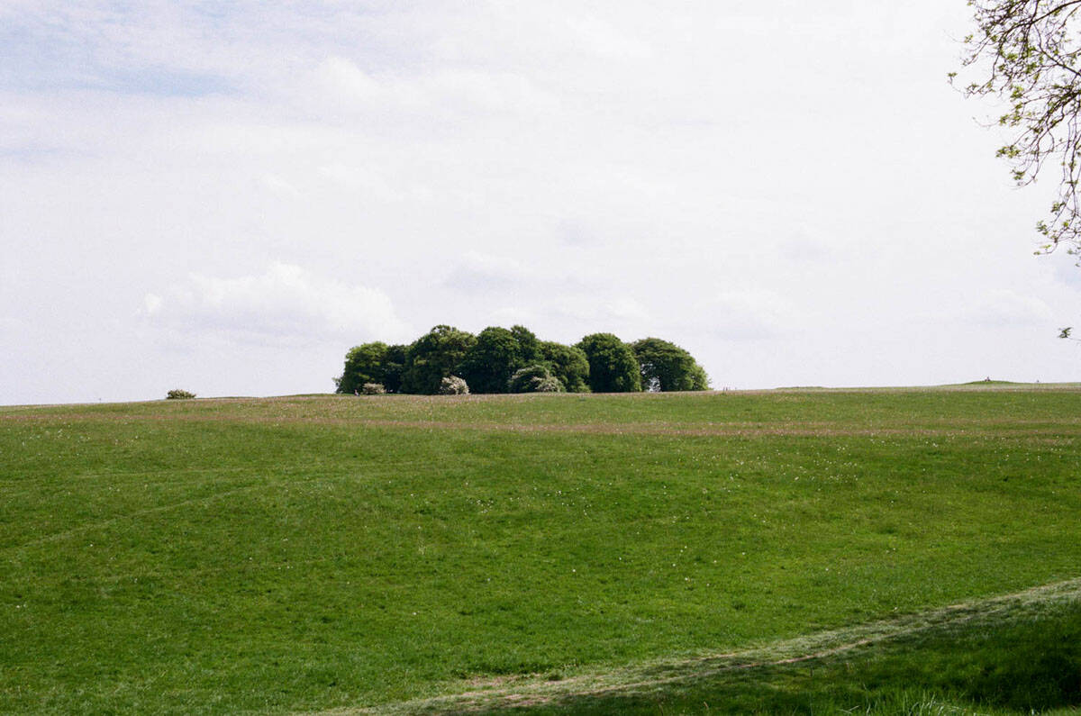 Spring Light in Ireland on 35mm Film by Enes Ozbayoglu on Shoot It With Film
