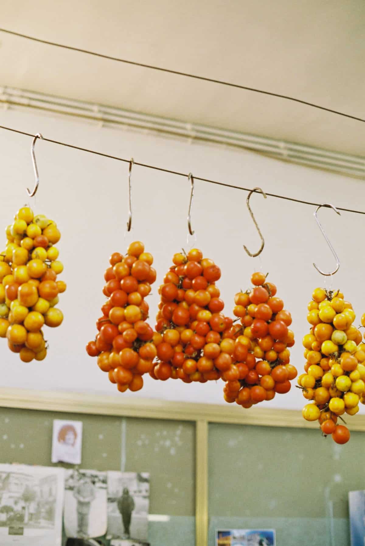 A Portrait of Apulia on 35mm Film by Anna Roesch on Shoot It With Film