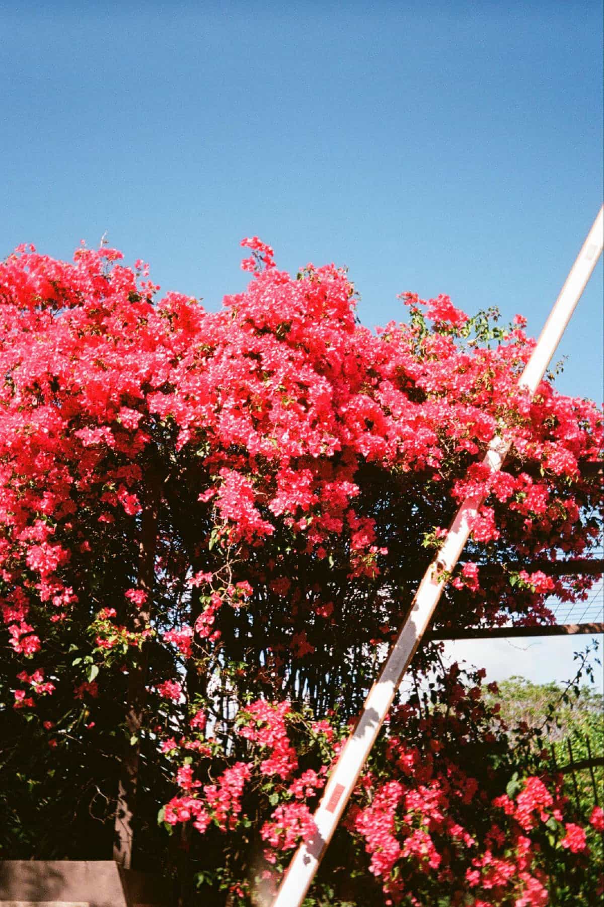 5 Unconventional Ways to Find Your Inner Artist by Katya Rowny on Shoot It With Film