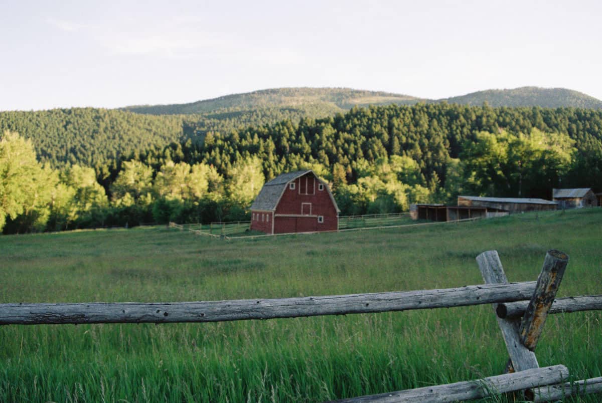 5 Unconventional Ways to Find Your Inner Artist by Katya Rowny on Shoot It With Film