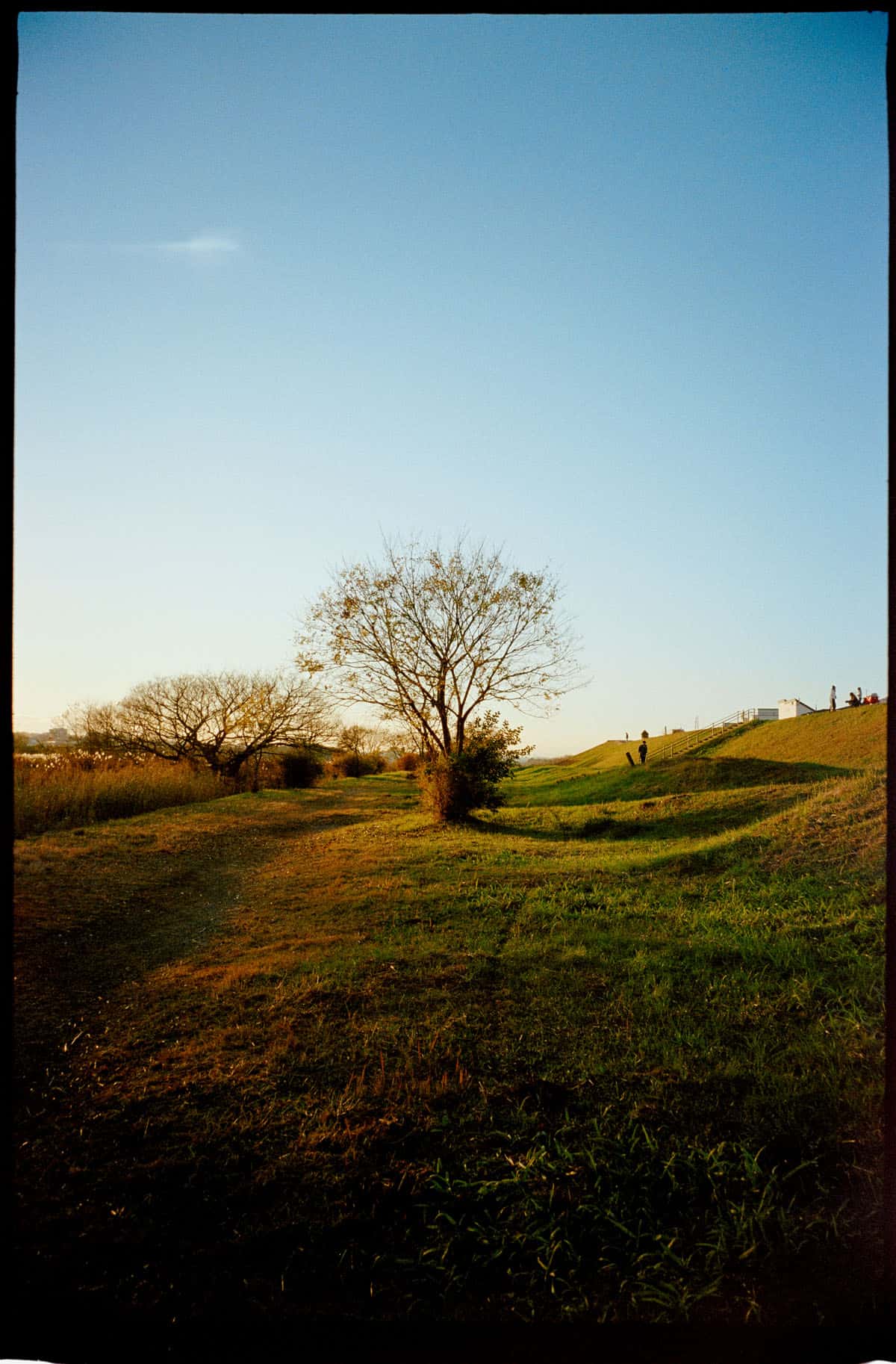 Ilfocolor Vivid 400 Film Review by Raufan Yusup Shoot It With Film