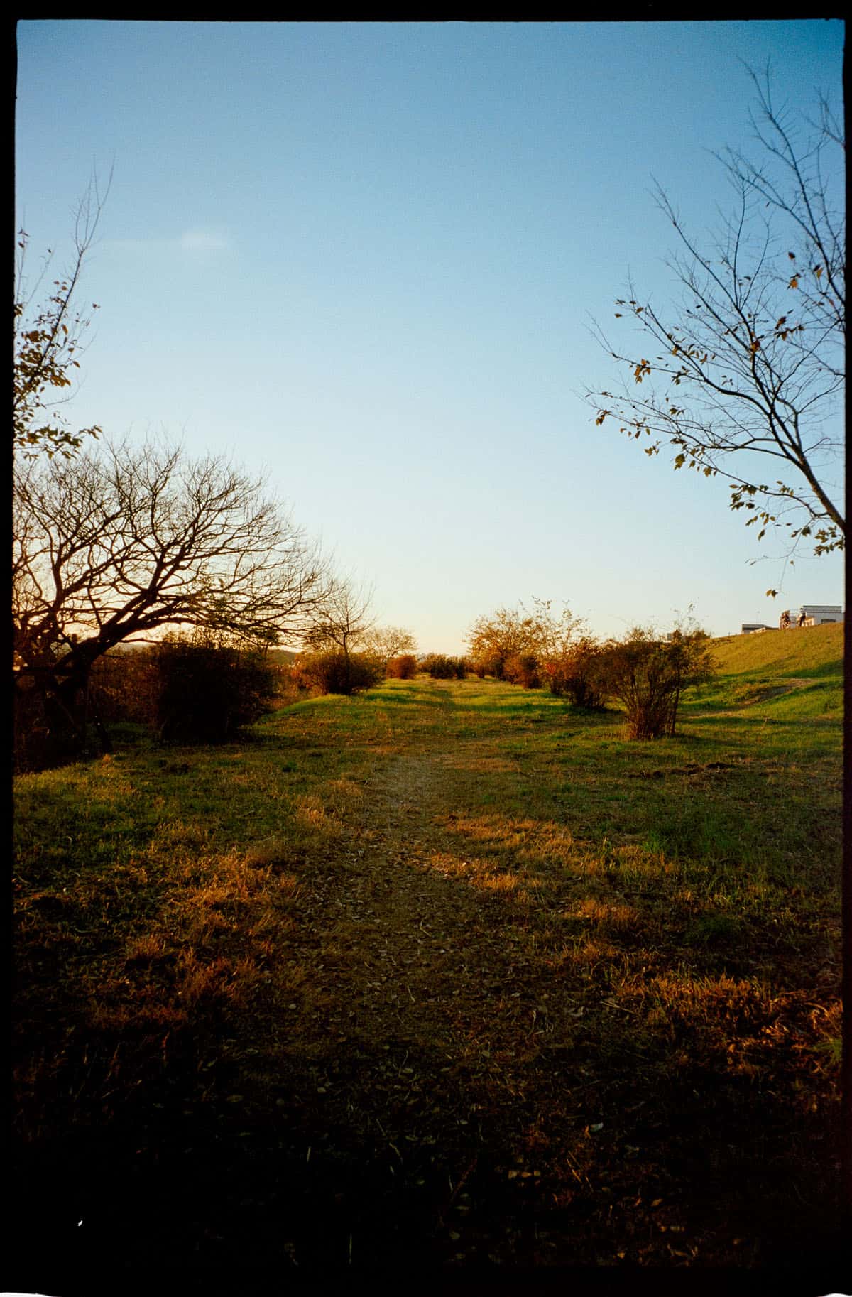 Ilfocolor Vivid 400 Film Review by Raufan Yusup Shoot It With Film