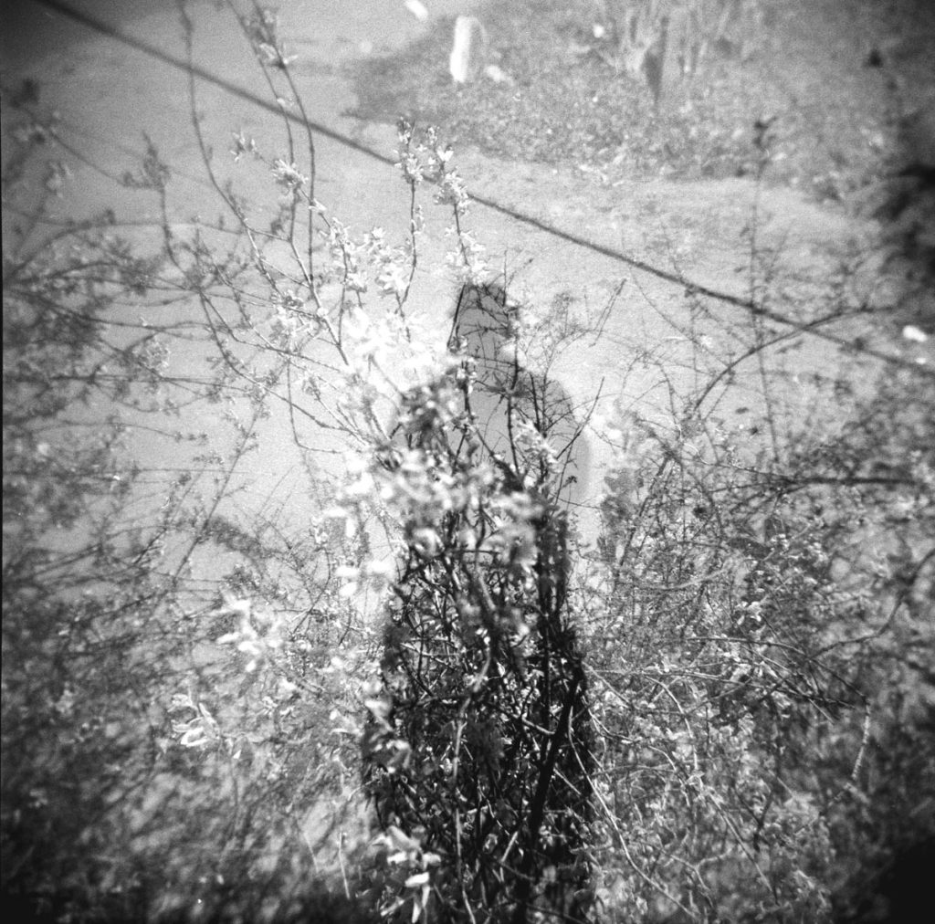 The Holga Challenge: 18 Photography Prompts with the Holga & Kentmere Film by Alec Pain