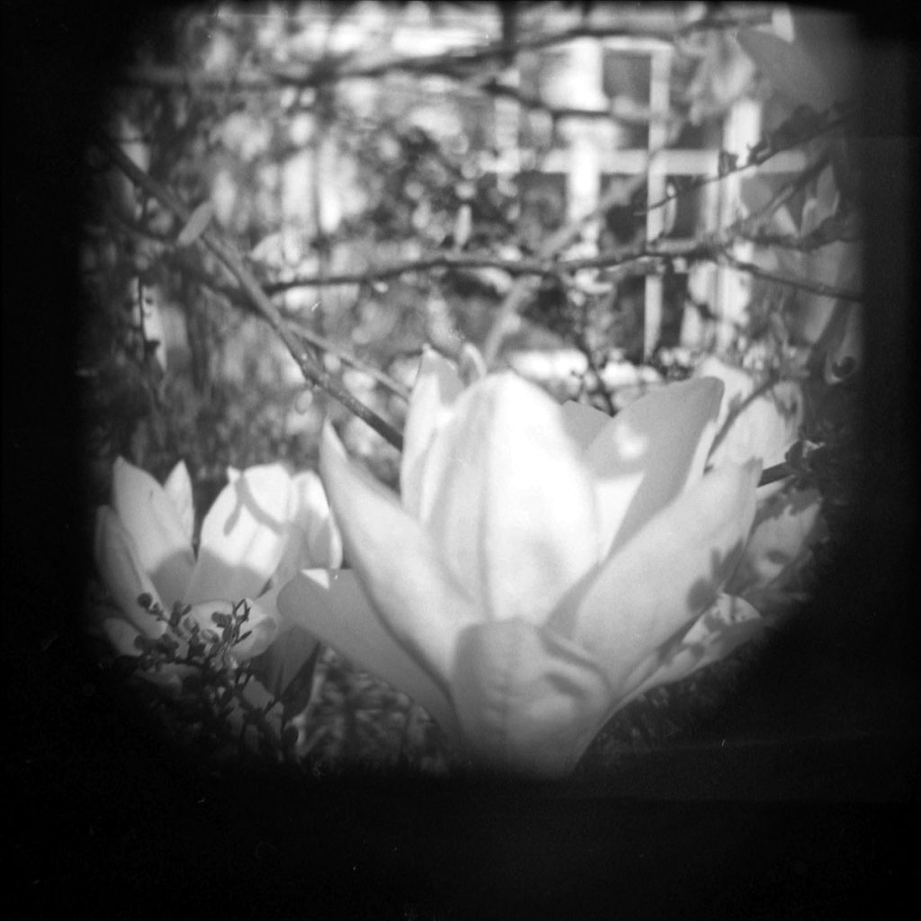 The Holga Challenge: 18 Photography Prompts with the Holga & Kentmere Film by Alec Pain