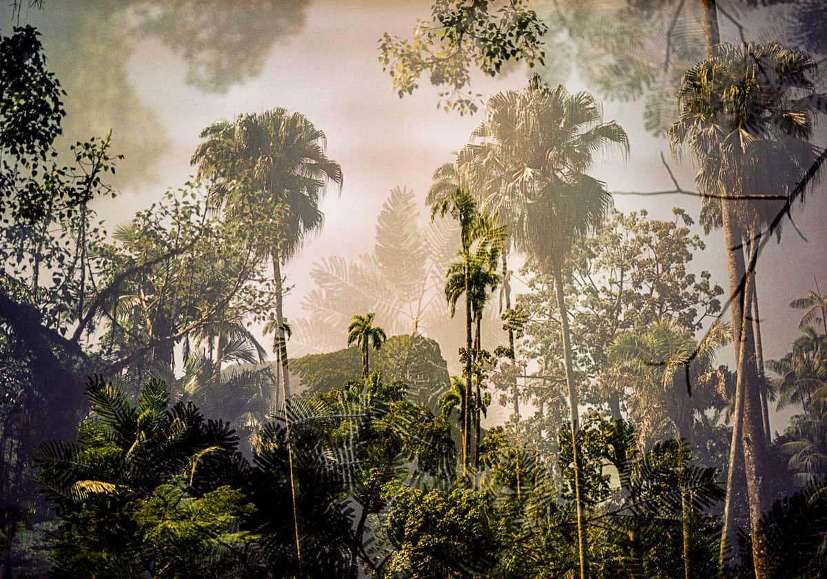 MUTANT Experimental Film Series by Dani Justus on Shoot It With Film