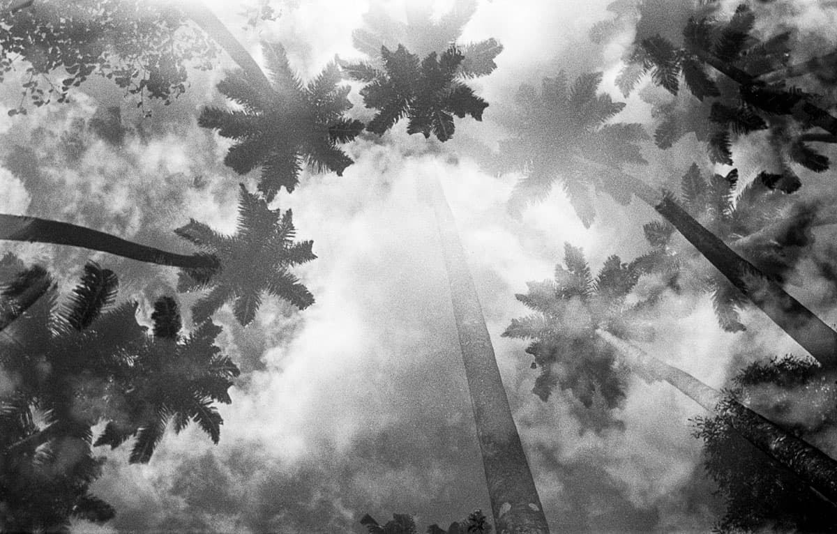 MUTANT Experimental Film Series by Dani Justus on Shoot It With Film