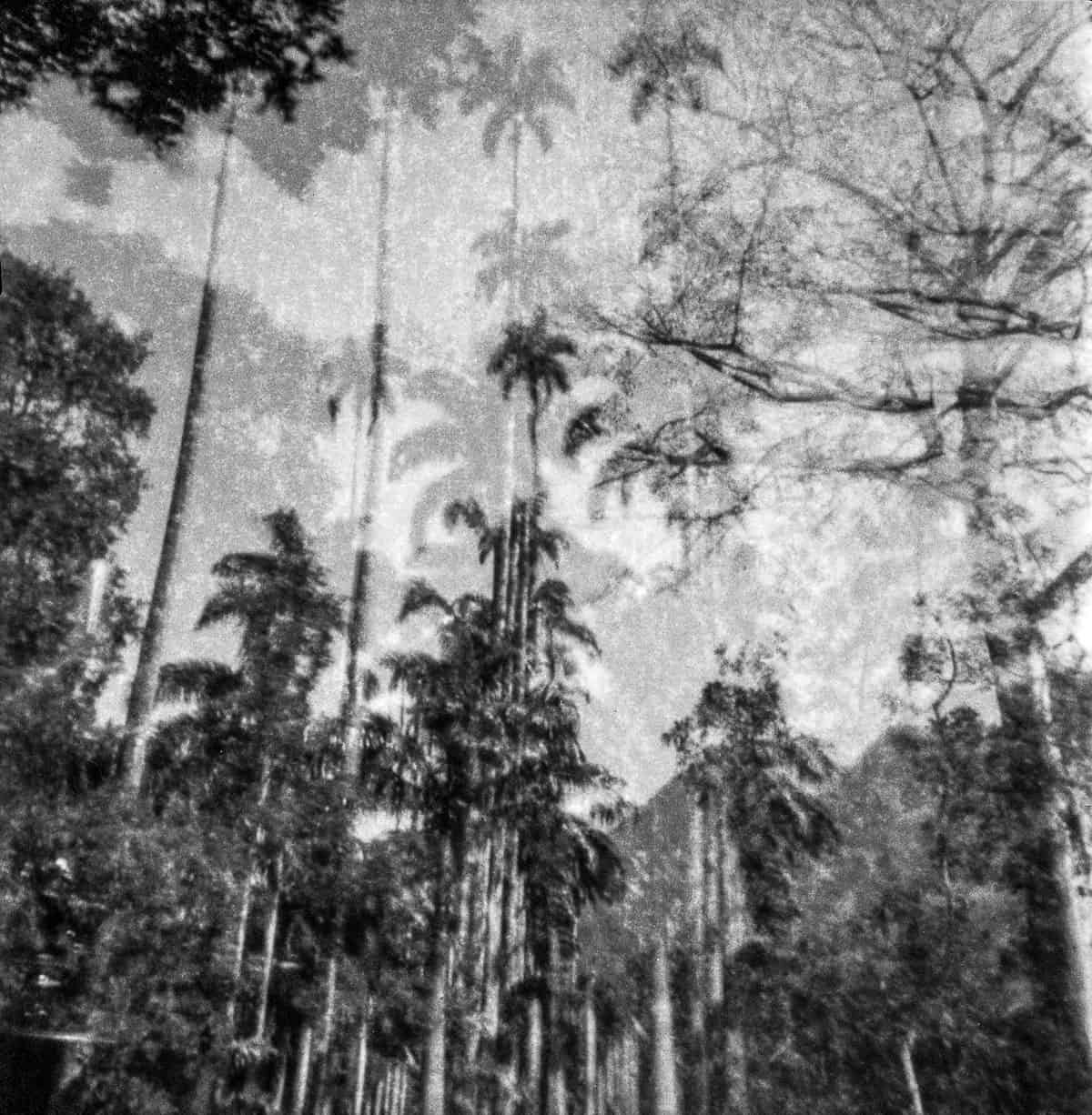 MUTANT Experimental Film Series by Dani Justus on Shoot It With Film