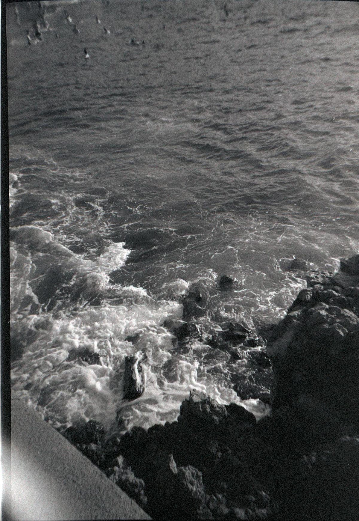 12 Months on Film by Katya Rowny on Shoot It With Film