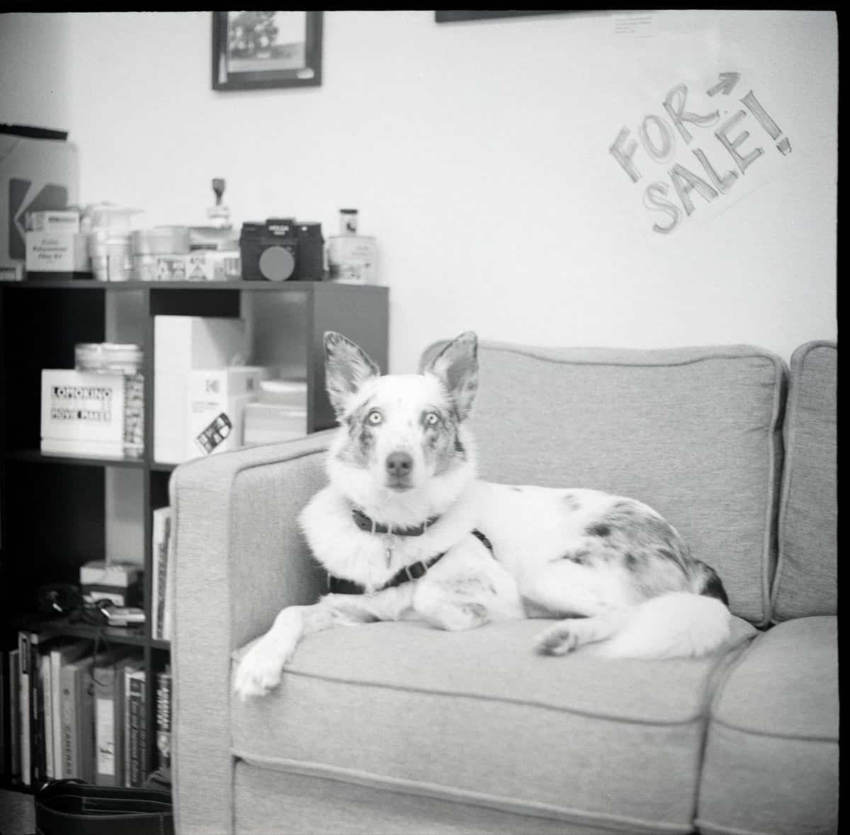 12 Months on Film by Katya Rowny on Shoot It With Film