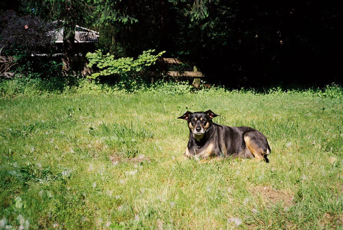 12 Months on Film by Katya Rowny on Shoot It With Film
