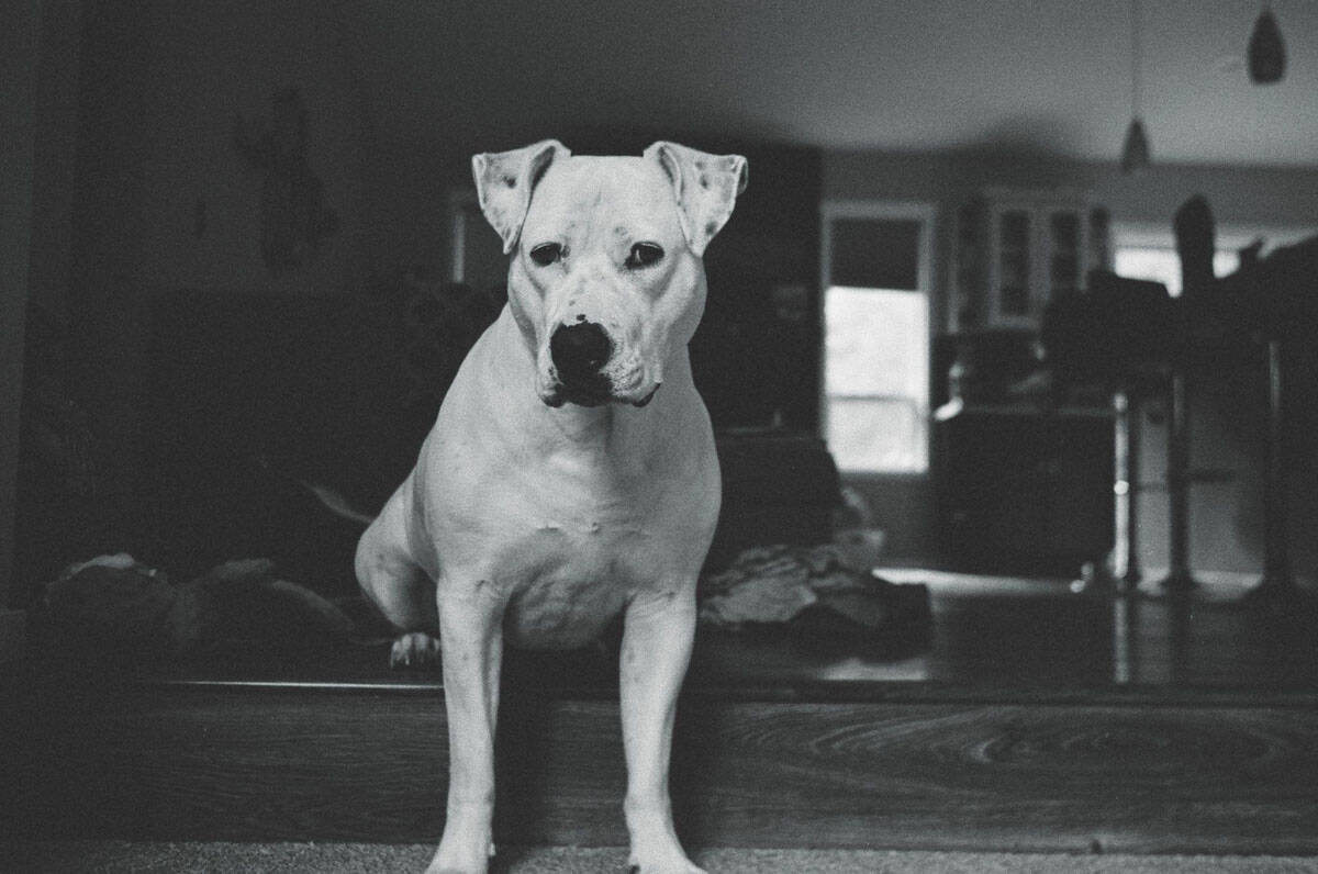 12 Months on Film by Katya Rowny on Shoot It With Film