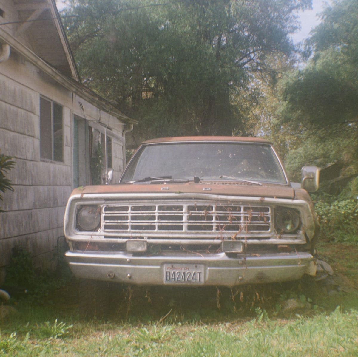 12 Months on Film by Katya Rowny on Shoot It With Film