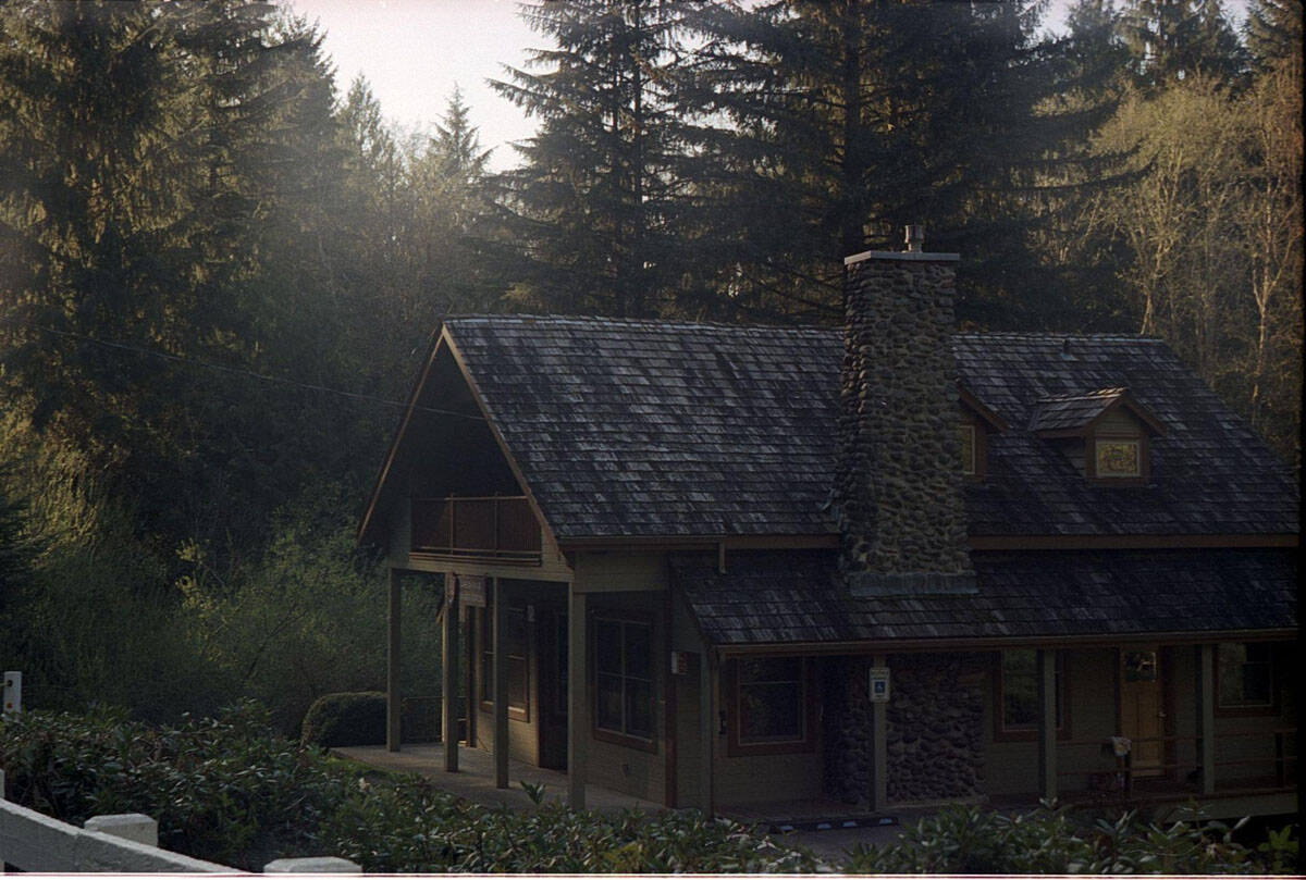 12 Months on Film by Katya Rowny on Shoot It With Film