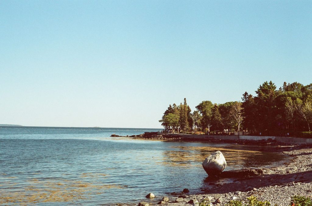 A Walk Along the Shore by Julie Young on Shoot It With Film