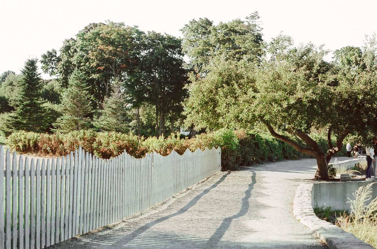 A Walk Along the Shore by Julie Young on Shoot It With Film