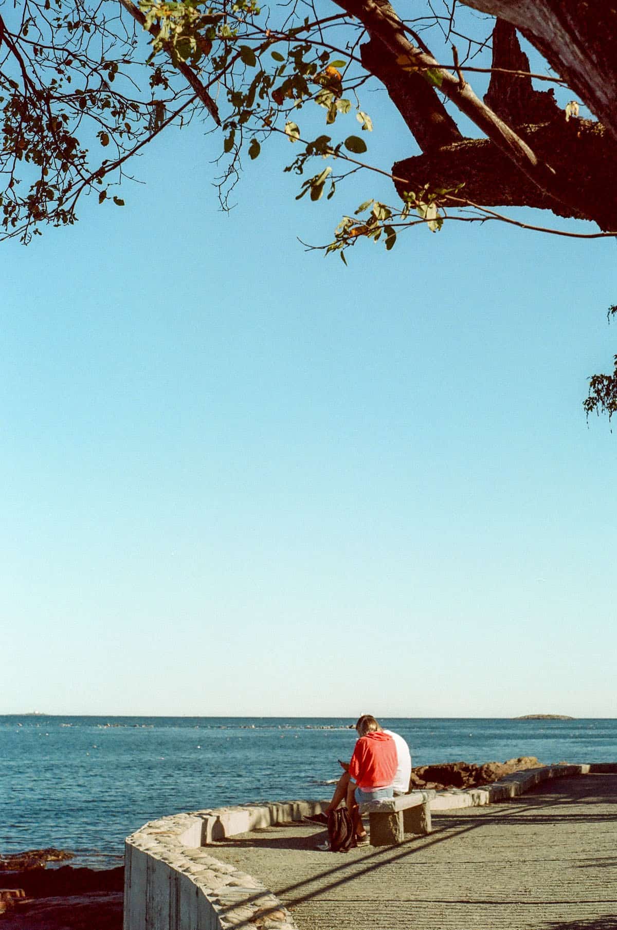 A Walk Along the Shore by Julie Young on Shoot It With Film