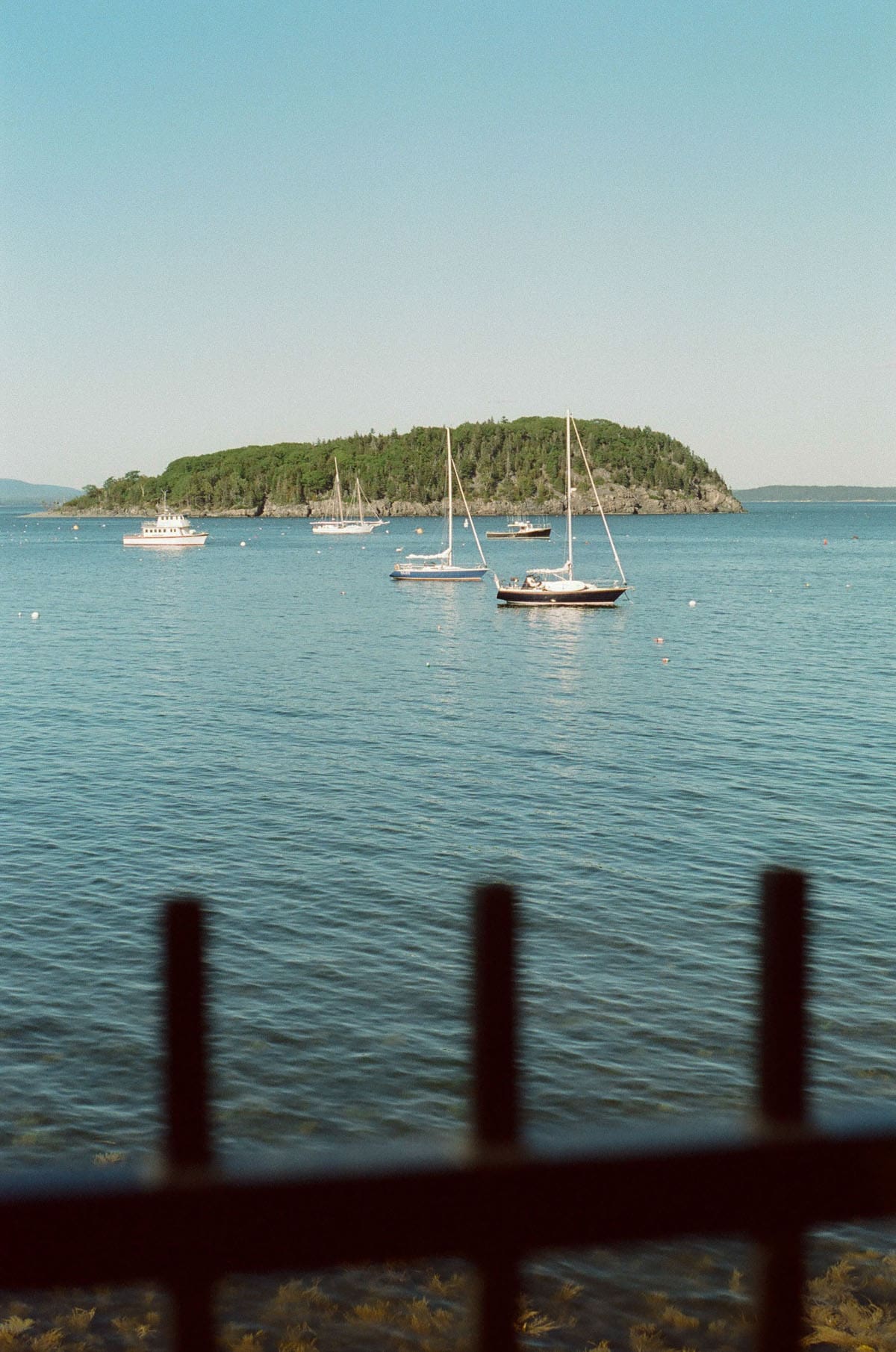 A Walk Along the Shore by Julie Young on Shoot It With Film
